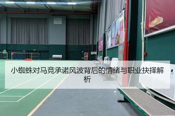 小蜘蛛对马竞承诺风波背后的情绪与职业抉择解析