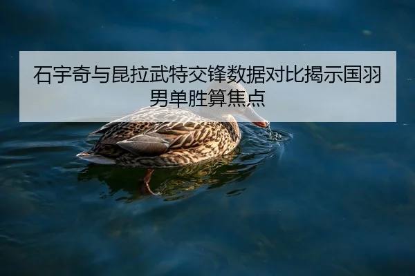 石宇奇与昆拉武特交锋数据对比揭示国羽男单胜算焦点
