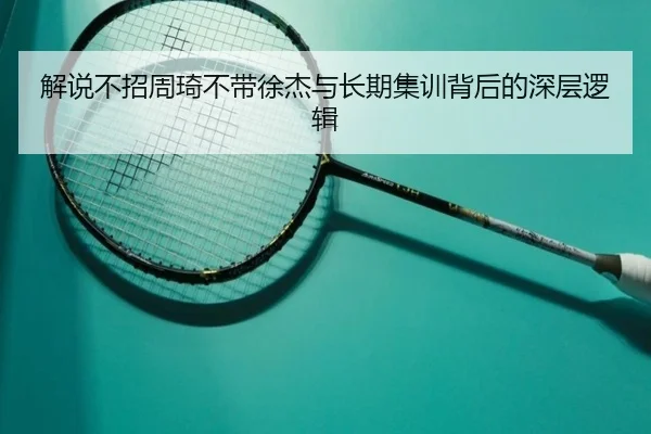 解说不招周琦不带徐杰与长期集训背后的深层逻辑